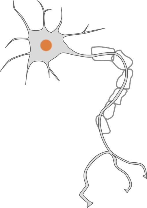axon-1294021_960_720.png