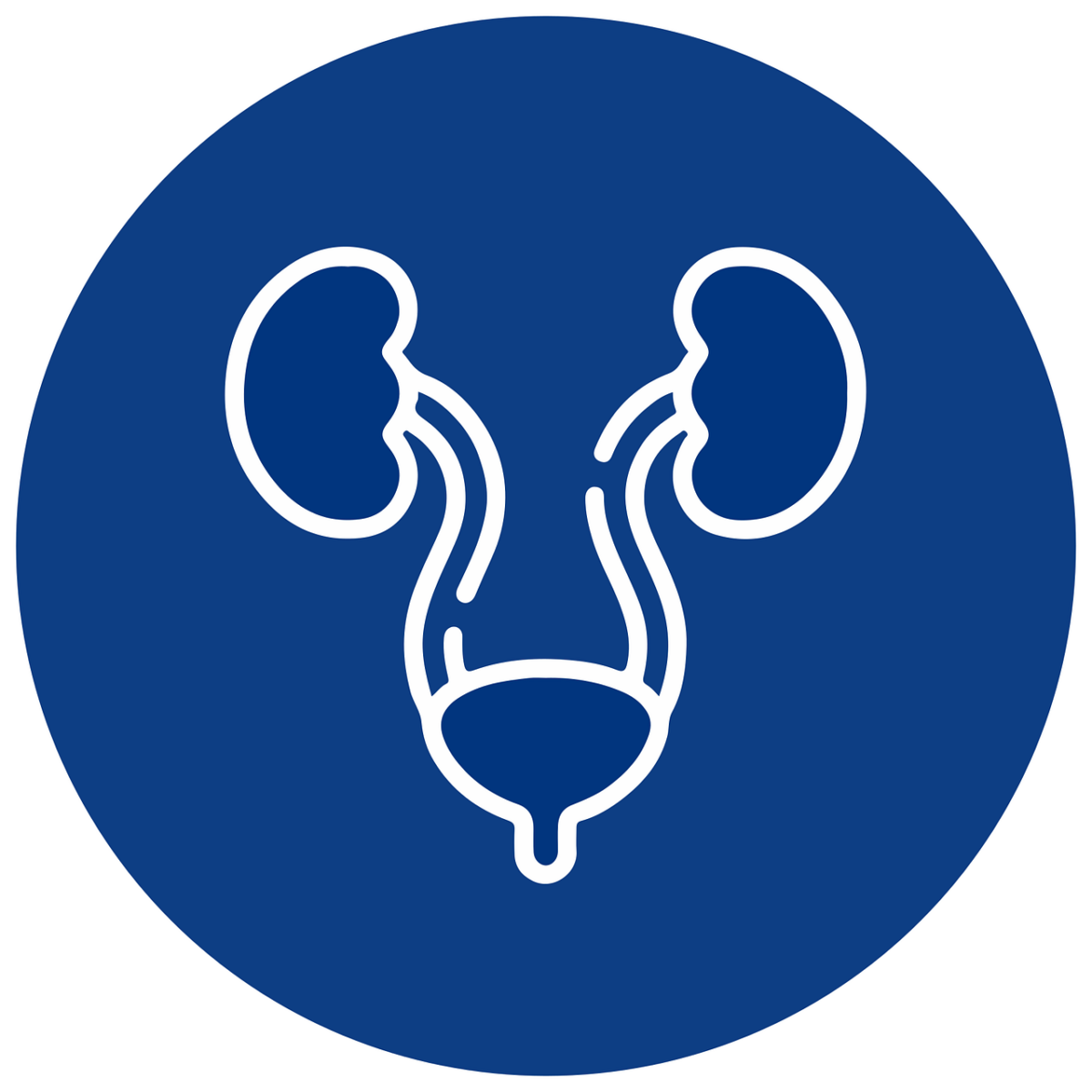 urology-7467570_1280-1200x1200.png